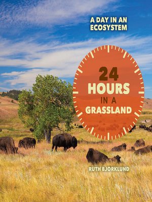 cover image of 24 Hours in a Grassland